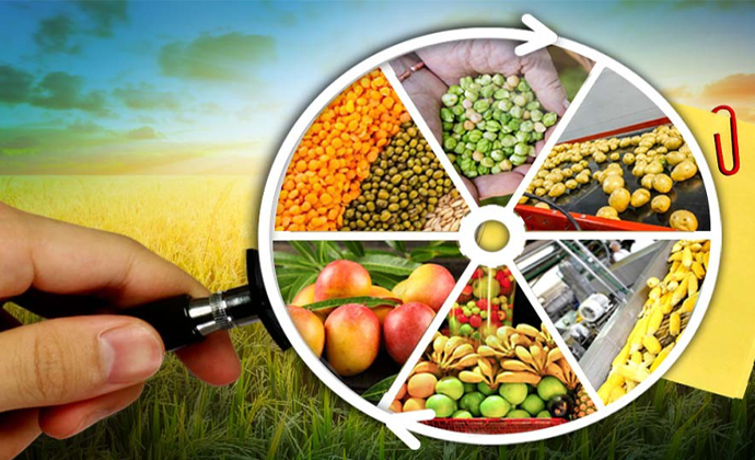 Agro-Processing & Food Production Invest